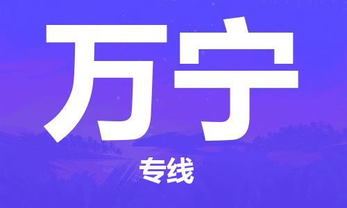 邯鄲到萬寧物流公司-邯鄲至萬寧貨運客戶至上定制服務|可靠、經濟實惠