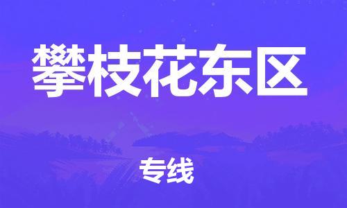 邯鄲到攀枝花東區(qū)物流公司-行李托運專線-上門服務(wù)