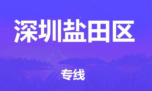 邯鄲到深圳鹽田區(qū)物流公司-電商貨物運輸專線-時間準時