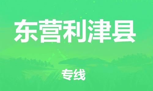 邯鄲到東營(yíng)利津縣物流公司-物流專(zhuān)線省時(shí)省心-市縣閃送